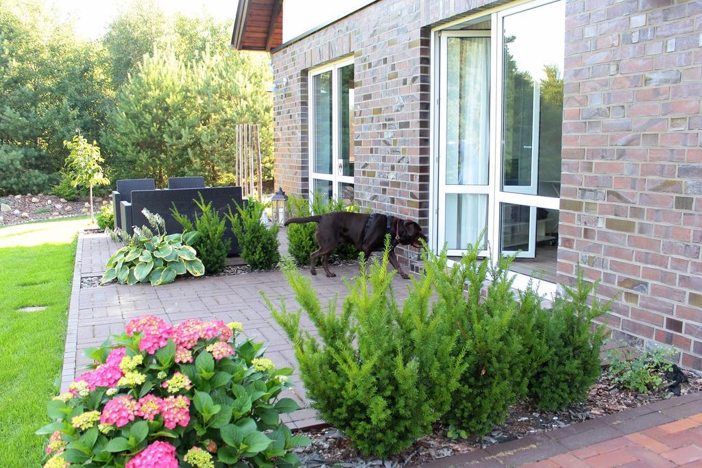 Lesny Apartament Ostrzyce Værelse billede